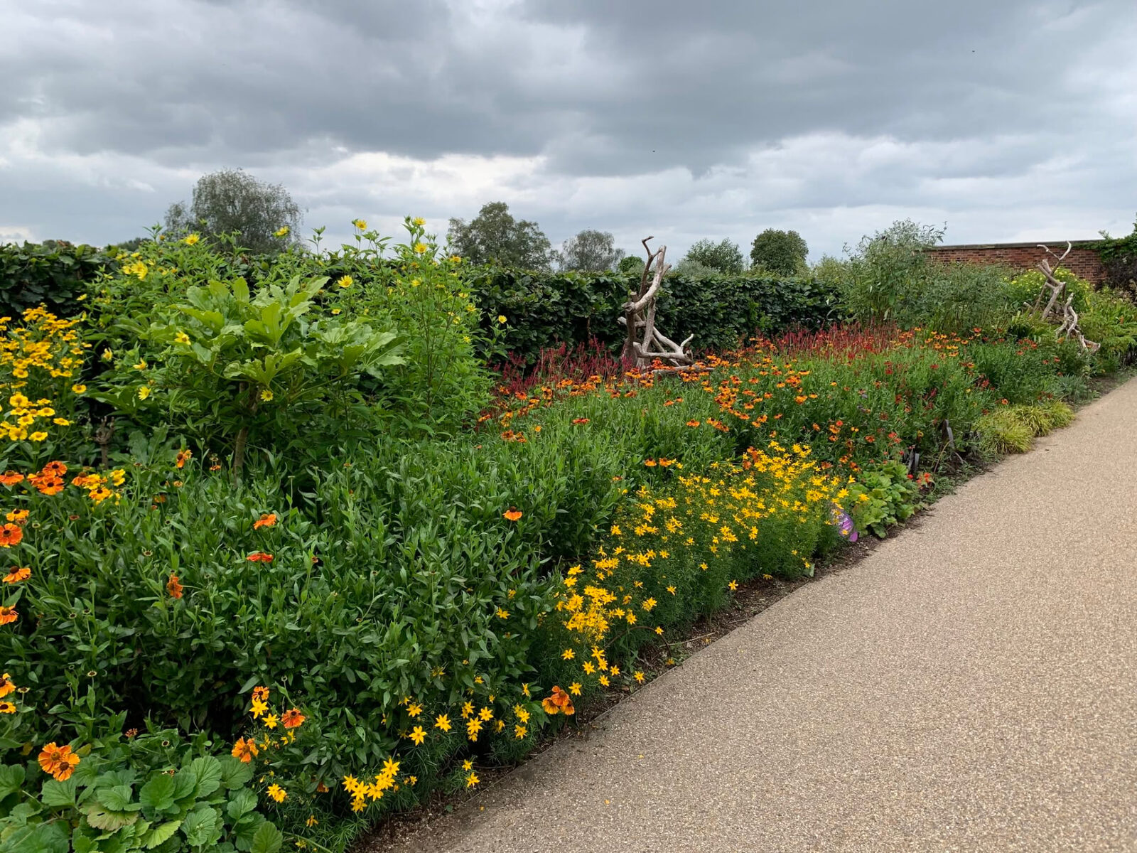 A flowering garden path